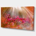 thumbnail image 2 of Sunlight Over Small Red Flowers - Large Floral Canvas Artwork, 2 of 3