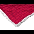 thumbnail image 2 of The Northwest Group  Los Angeles Angels 50" x 60" Celebrate Silk Touch Throw Blanket, 2 of 5