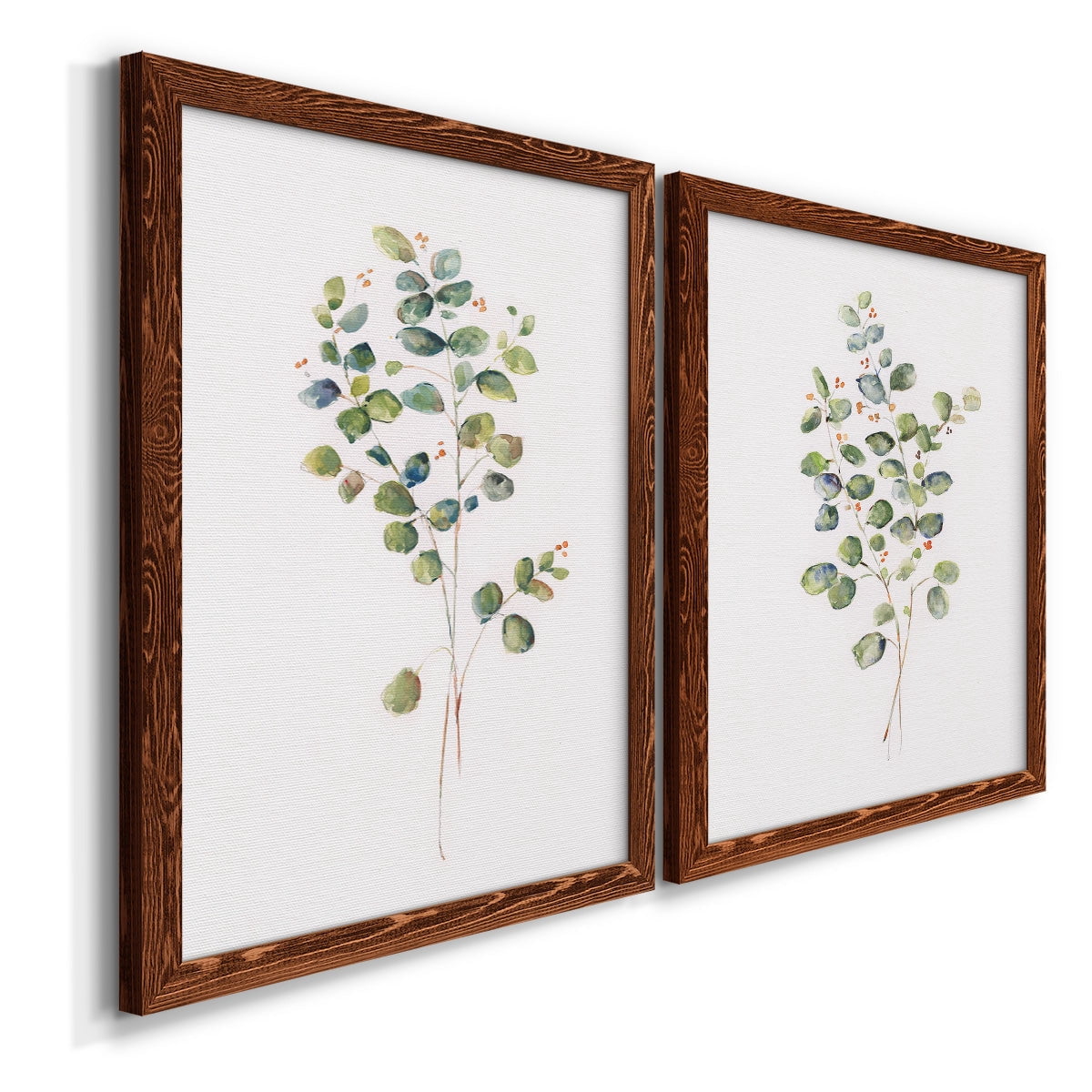 Eucalyptus I - Premium Framed Canvas 2 Piece Set - Ready to Hang
