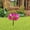 Hot Pink, variant on Metal Bird Baths For Outdoors,Garden Bird Bath & Bird Feeders Freestanding Flower Shaped Bird Feeders With Metal Stake,Bird Bath For Outside Vintage Metal Bird Bath For Outdoor Patio Garden Decoration