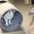 thumbnail image 4 of Túnel para gatos de interior, túnel plegable para gatos grandes de 51 x 12 pulgadas, túneles de gamuza para mascotas con dos mirillas y una bola de burbujas, 4 of 7