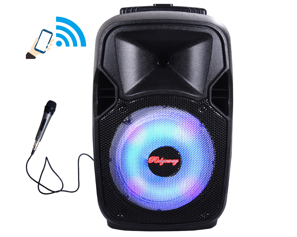 ridgeway rechargeable speaker system with trolley