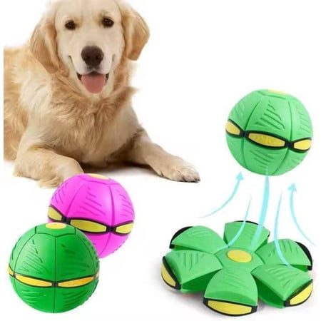 Dog Pop Up Flying Saucer Ball