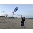 thumbnail image 3 of HENGDA KITE for Children and Adults 55inch Soft Whale Dolphin Kite Blue Polyester, 3 of 10