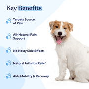 Pawfy Hip & Joint Supplement for Dogs, Glucosamine Chondroitin MSM & Omega-3 | 30 Chews