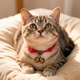 thumbnail image 4 of Tong Collar For Small And Cats Loud Sound Cat And For Teddy And Breeds, 4 of 6