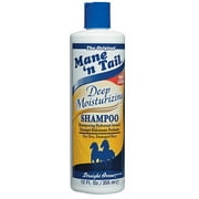 (2 pack) (2 Pack) Mane 'n Tail Deep Moisturizing Shampoo, 12 Fl Oz