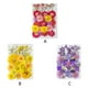 thumbnail image 5 of Flor seca natural Decoración floral prensada artística Flores en relieve conservadas planta seca decorada decorativa para maquillaje facial tipo 3 seitruly  HA010797-03, 5 of 7