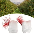 thumbnail image 3 of Bolsa de malla de protección de frutas, 100 piezas Bolsa de malla de frutas de protección de plantas Bolsas de protección de frutas Fiel a su promesa, 3 of 8
