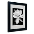 thumbnail image 3 of Matted art under acrylic in a wood frame, 3 of 5