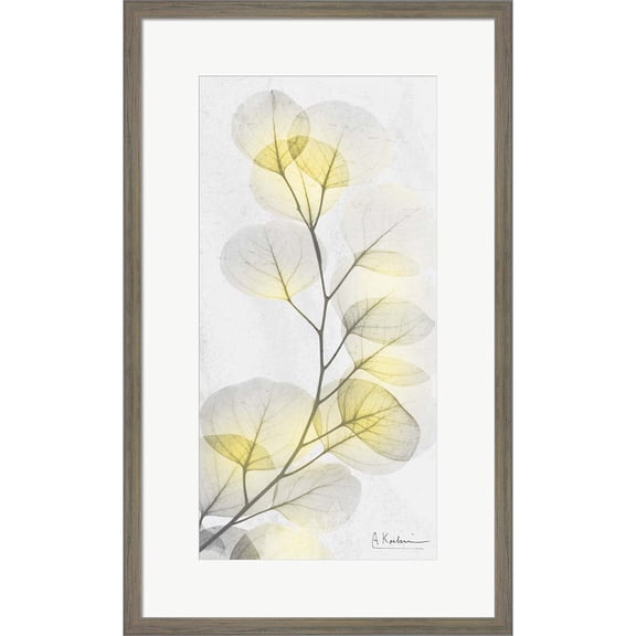 Great Art Now Eucalyptus Sunshine 1 by Albert Koetsier, Framed Wall Art, 16W x 26H