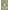 Green, variant on Wonnitar 2'X3' Small Boho Tribal Rugs for Entryway,Soft Kitchen Rugs Non Slip Washable Rugs,2X3ft Modern Foldable Door Mat Indoor Entrance Low-Pile Throw Rug for Bedroom Bathroom,Rust