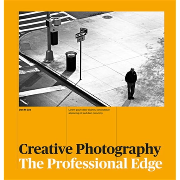 Pre-Owned Creative Photography : The Professional Edge (Paperback)
