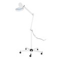 thumbnail image 3 of Lampe Loupe 8X, Loupe LED, Lampadaire Réglable, pour Manucure de Beauté, 3 of 8