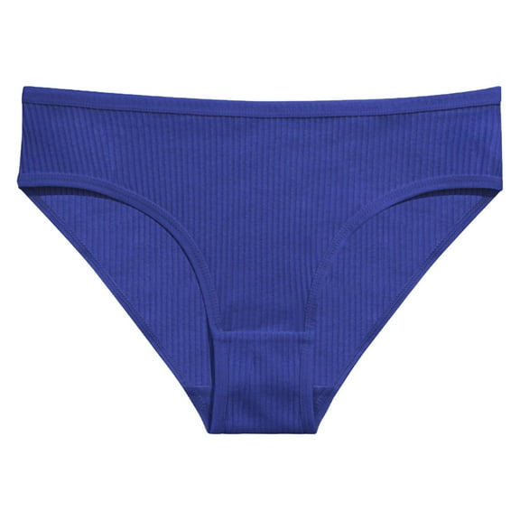 Sngxgn Women's Cotton Brief Underwear Lace High Waist Panties(Blue,S)