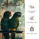 thumbnail image 5 of 1 Set Pájaro Pájaro Juguete Pájaro de madera Poste de pie Plataforma Percha Juguete, 5 of 5