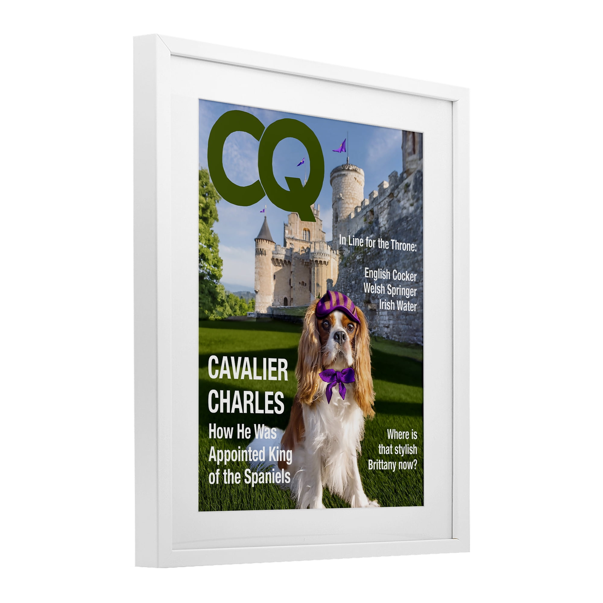 Stupell Industries Royal Cavalier Magazine White Framed Print Under Glass, design by Grotto Studios