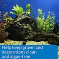 thumbnail image 4 of API Stress Zyme Bacterial Cleaner, Freshwater and Saltwater Aquarium Water Cleaning Solution, 8 oz, 4 of 7