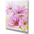 thumbnail image 2 of Blooming Pink Cosmos Flowers, 2 of 3