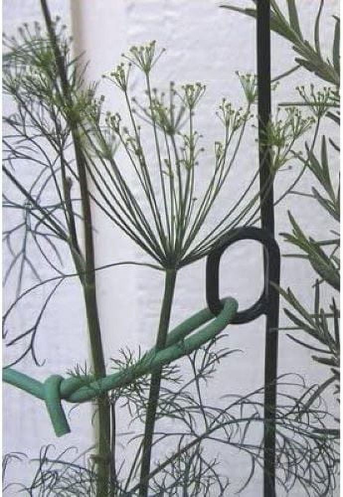Panacea Products 84171 36" Green Double Loop Metal Plant Supports - Quantity of 120