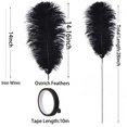 thumbnail image 3 of Kit para hacer plumas Ballinger Black Avestruz, 10 unidades, 70 cm, 3 of 7