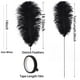 thumbnail image 3 of Kit para hacer plumas Ballinger Black Avestruz, 10 unidades, 70 cm, 3 of 7