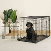 Vibrant Life Wire Dog Crate, Double-Door, Divider and Leak-Proof Tray, Metal, Foldable, Durable, Black, 42