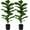 30in, variant on 2 Pack Faux Fiddle Leaf Fig Tree - 40" Fake Tree with Black Planter & Artificial Turf, Floor Plants for Home or Office Decor, Artificial Plants Indoor Housewarming Gift