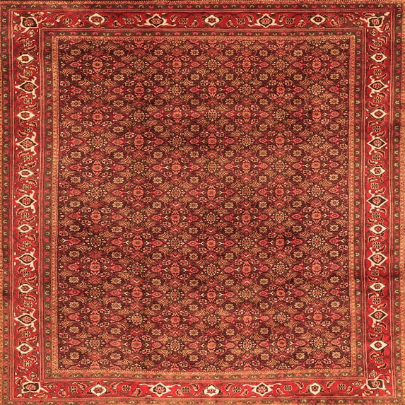 Ahgly Company Indoor Square Persian Orange Traditional Area Rugs, 8' Square