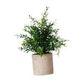 thumbnail image 2 of Mini planta falsa en maceta, decoración versátil, decoración realista, planta artificial para patio Estilo B, 2 of 9