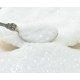 thumbnail image 5 of Purpurina Multigrano Snow Fusion - 311-7090-Wh, 5 of 5