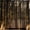 Black-W5' x H10'(2 panels), variant on Champagne W5' x H8'(2 panels) Tulle Party Decoration Backdrop Curtain with Lights