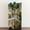 Color 2, variant on Self Adhesive Vinyl Refrigerator Wrap Set redwood trail trees forest sequoiass pictures Door Mural Removable Fridge Sticker Peel and Stick Full Door Cover Decal Kitchen Bar Decor