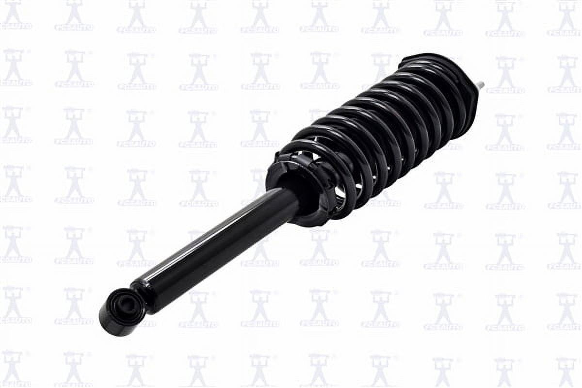 Suspension Strut and Coil Spring Assembly