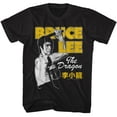 thumbnail image 1 of Bruce Lee Nunchuck Pose Black Adult T-Shirt, 1 of 2