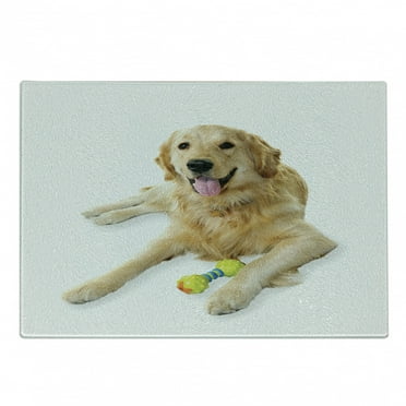 Golden Retriever Cutting Board, Pet Dog Laying down with Toy Friendly Domestic Puppy Playful Companion, Decorative Tempered Glass Cutting and Serving Board, Small Size, Multicolor, by Ambesonne