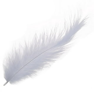 Pinsheng 300 Pcs White Feathers, Natural Goose Feathers White Crafts  Feathers Decoration Feathers for DIY Dream Catchers Wedding Festival Party  : : Home & Kitchen