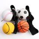 thumbnail image 5 of Muñequera de Goma Deportiva con Cuerda Juguete Muñequera de Goma Deportiva con Correa y Cuerda Juguete Elástico de Goma para Ejercitar los Dedos Actividad y Juego，Juguetes Educativos para Niños, 5 of 7