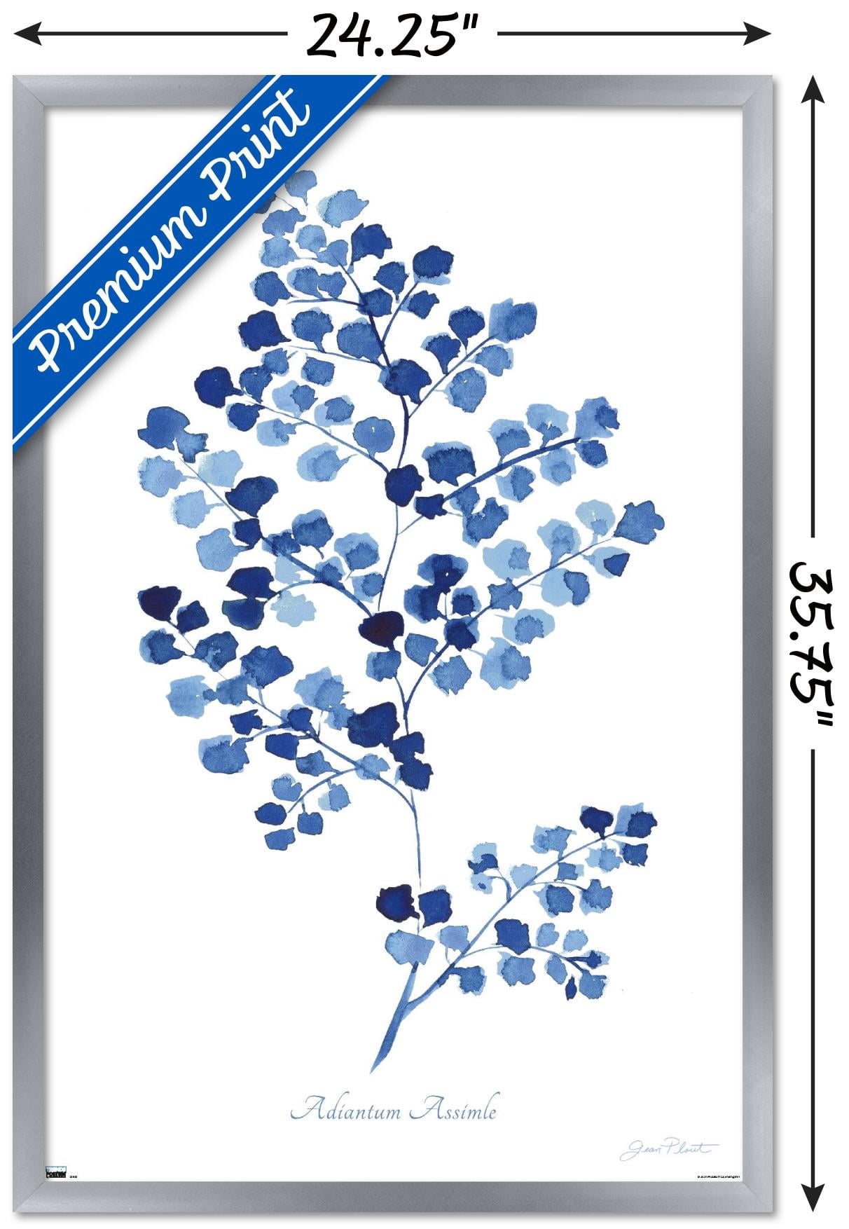 Jean Plout - Indigo Botanical Adiantum Assimle Wall Poster, 22.375" x 34" Framed