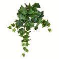 thumbnail image 1 of Vickerman 18 Pouces Vert Ivy Hanging Bush 3/Pk - FZ190118, 1 of 3