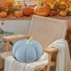 thumbnail image 4 of Uuiauoio Pumpkin Pillow Flock Material Holiday Decorative Throw for Bed Sofa Cushion Gift Soft Stuffed Realistic Design Festive Home,Halloween Pumpkins Plush Toys, 4 of 7