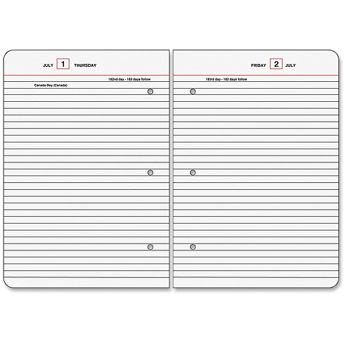 AtAGlance LooseLeaf Daily Diary Refills