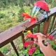 thumbnail image 5 of Alimentador de PáJaros PortáTil, Comedero de PáJaros Inteligente para Observar PáJaros, Regalos de PáJaros para Padres, 5 of 5