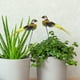 thumbnail image 1 of Inserción de Pájaro Xihbxyly con Plumas simuladas Estaca de Madera para Jardín 2 piezas, 1 of 3