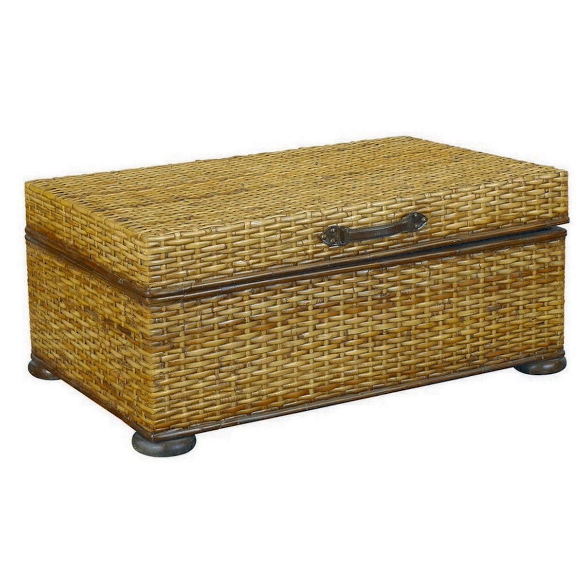 Hammary Hidden Treasures Woven Rattan Trunk Coffee Table in Light