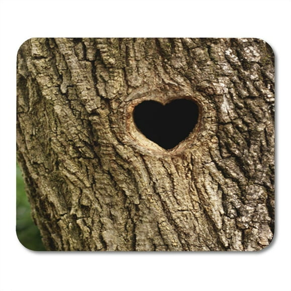 POGLIP Brown Heart Bird Nest in Hollow Tree Trunk Forest Mousepad Mouse Pad Mouse Mat 9x10 inch