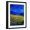Black Frame, variant on Art.com Blue Cornflowers 4550 Art Print by Pol Ledent, 12" x 16"