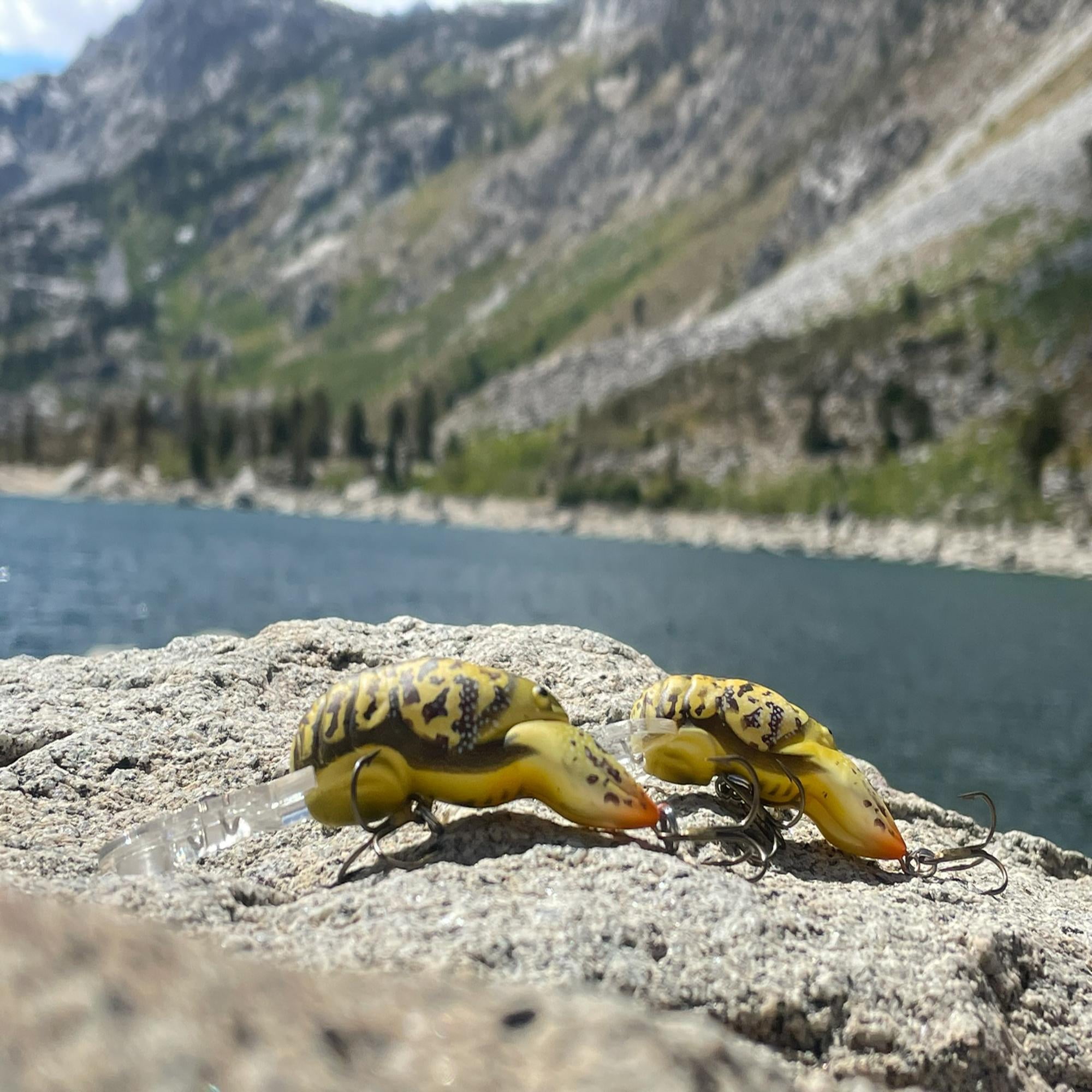 Rebel Deep Teeny Wee Craw - Gully Craw - 1.5"