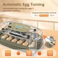 thumbnail image 4 of Incubadora WONEGG para incubar huevos 24 huevos de gallina con mirilla de 360°, 4 of 6