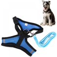 thumbnail image 4 of AMERTEER No Pull Adjustable Dog Harness with Handle  Blue  XL, 4 of 8